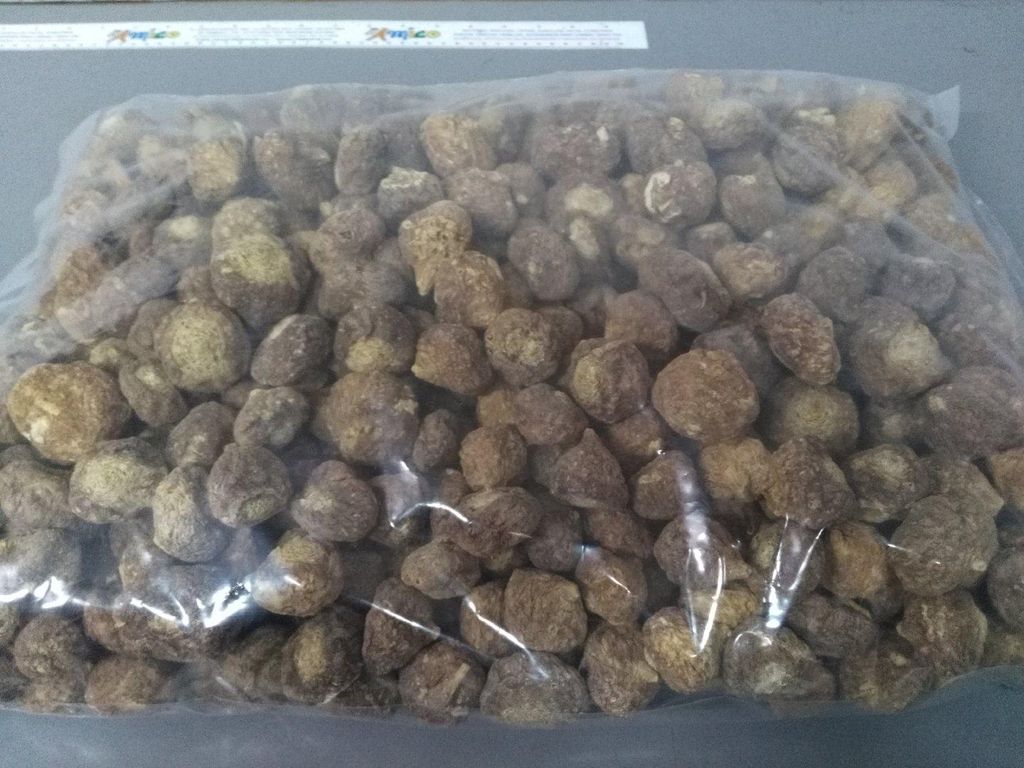 Processed Maca Powder