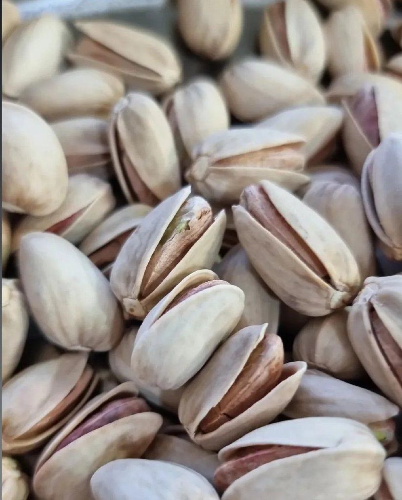 Persian Pistachios 3