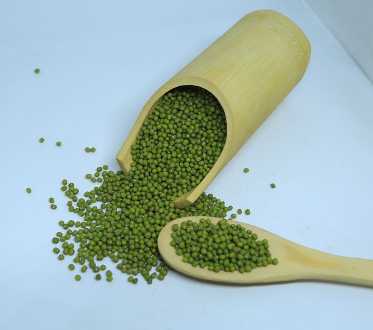 Optimum Quality Machine Cleaned Ethiopian Green Vigna Beans Mung Beans at Wholesale Price 97.5% Min 0.2% Max 0.5% Max 1.5% Max