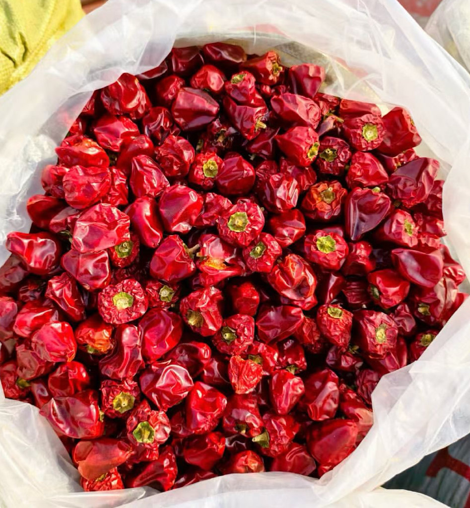 Buy Fresh Red Chilli Peppers – Vibrant, Hot & Export Quality 15kg Reliable Quality Chilli for Global Markets – product thumbnail, market insight supplier card