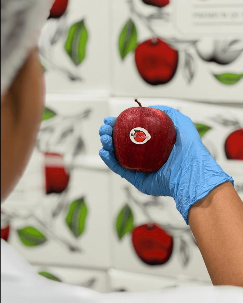 BEST RED APPLES BRAND WITH SWEET JUICY PROFILE BASSTION 13Kg FRESH RED APPLES – product thumbnail, market insight supplier card