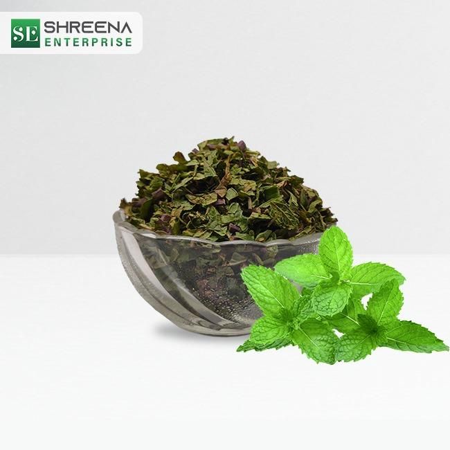 High Nutritional Value Freeze Dried coriander leaves | Wholesale Plant Extract pudina leaves dried | single spices and herbs