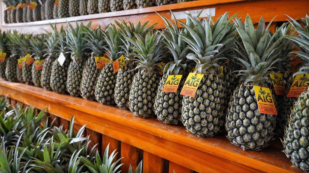 Fresh Pineapple 2