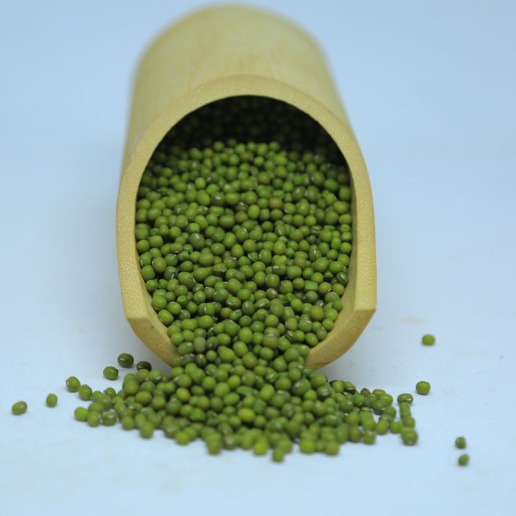 Optimum Quality Machine Cleaned Ethiopian Green Vigna Beans Mung Beans at Wholesale Price 97.5% Min 0.2% Max 0.5% Max 1.5% Max