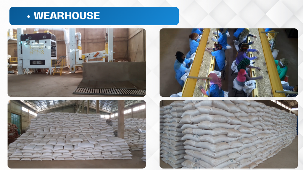 Premium Fresh Harvest 2024 Ethiopian Red Kidney Beans, Direct from Farm, Wholesale, Top Quality Bulk Quantity