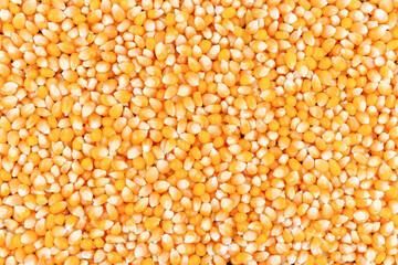 Yellow Corn Packaging