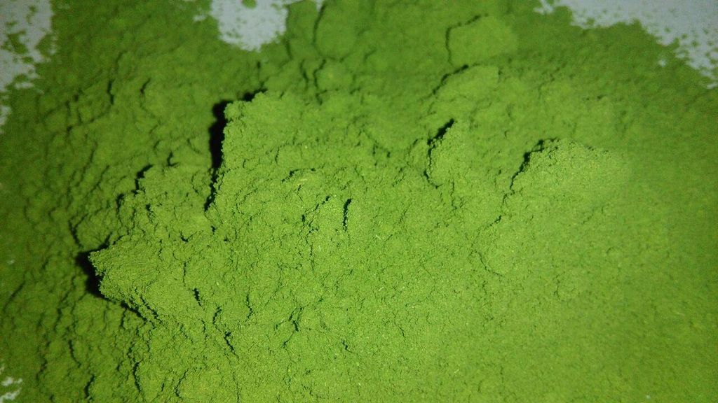 Dried Moringa Powder