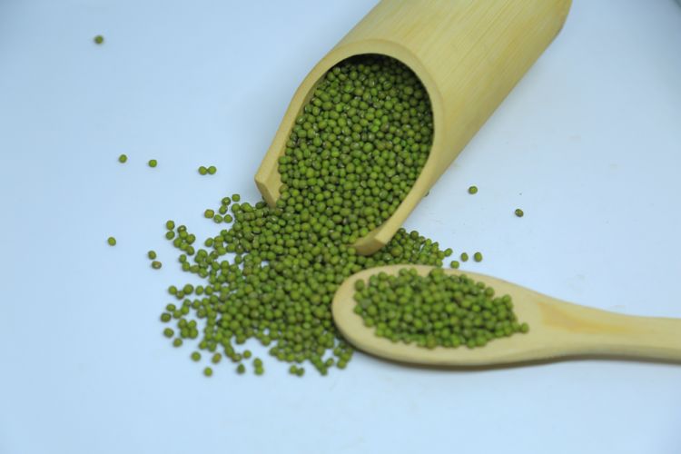 Optimum Quality Machine Cleaned Ethiopian Green Vigna Beans Mung Beans at Wholesale Price 97.5% Min 0.2% Max 0.5% Max 1.5% Max