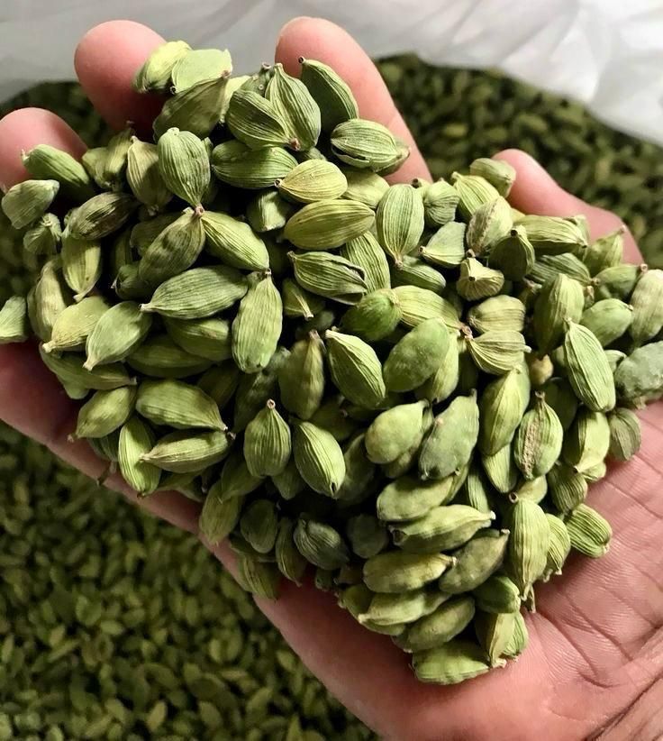 Green Cardamom Pods – Dried Whole Cardamom for Wholesale & Export – product thumbnail, market insight supplier card