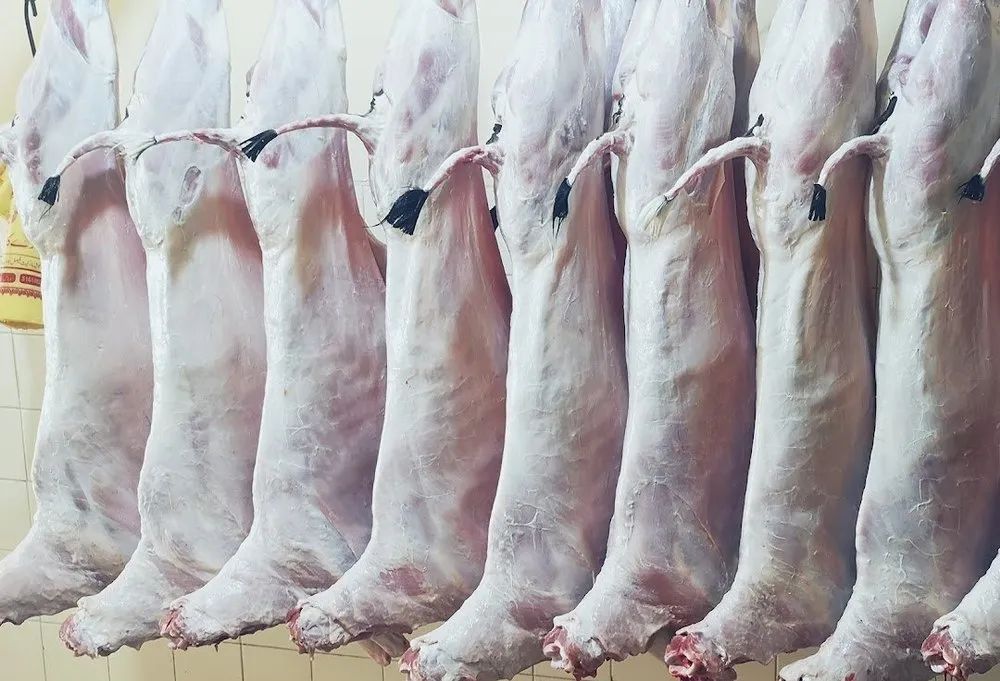 Frozen Halal Goat Carcass Image 1
