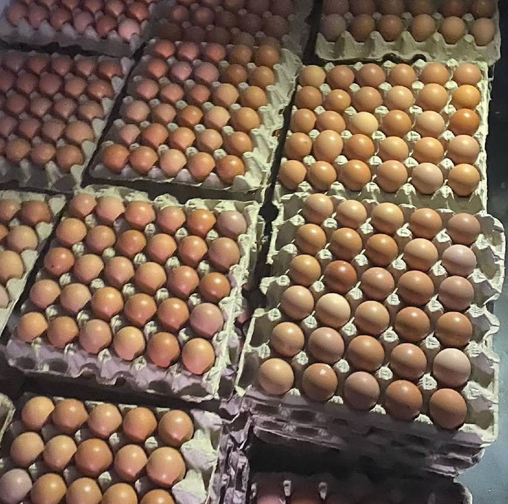 Fresh Chicken Eggs – Brown Large Size | Fresh Farms Grade AA Brown Eggs Brand (OEM Available) – product thumbnail, market insight supplier card