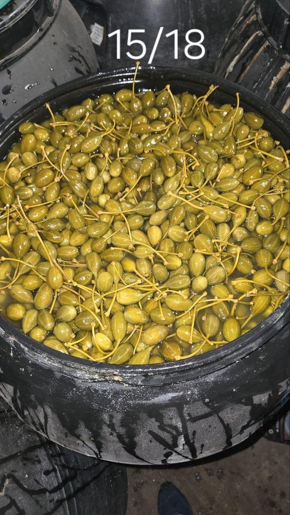 Capers and Capron Caliber   0/15 , 15/18 , 18/21