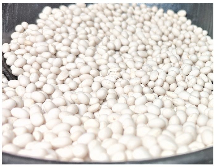 Ethiopian White Pea Beans Kidney Beans New Crop 2022 Fully Handpicked and machine cleaned purity 99% Bright white pea bean Ethi