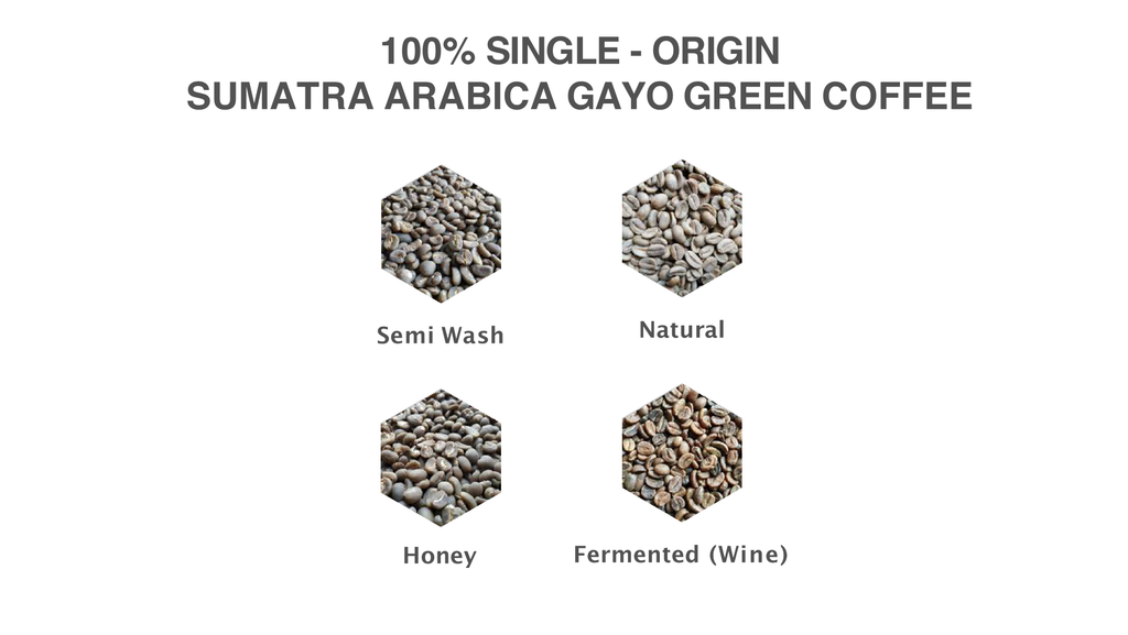 Gayo Highlands Coffee Beans