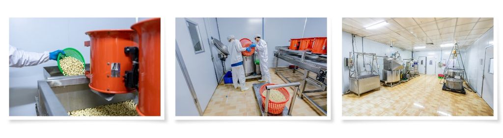 977b83970eca44a6a1fef0fa693ff7d2