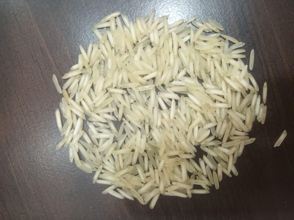 Rice – product photo, product description