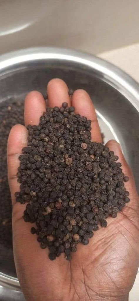 Black Pepper Image 3