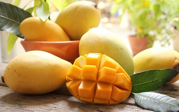A19d11ef721ca4538a58088fa88c9d014q