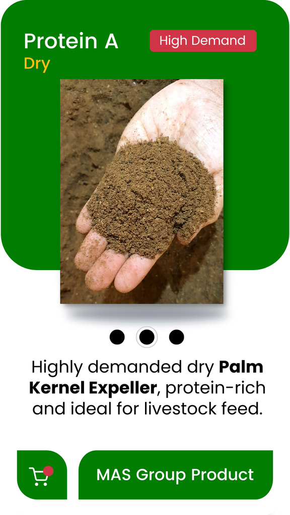Palm Kernel Expeller Image 2