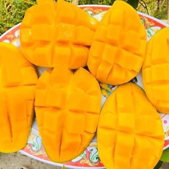 Ubaab0a2bdf3a4ef6be30fde39c20fe3ch