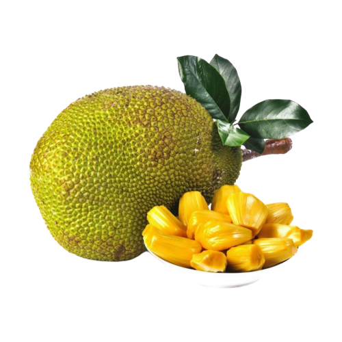 Ued292bb932e54aaea65564e549b9d051v