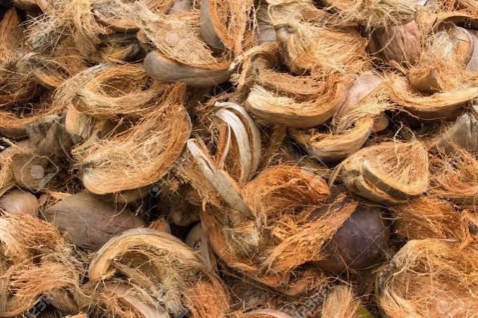 Wholesale Coconut Husk For Distribution – product thumbnail, market insight supplier card