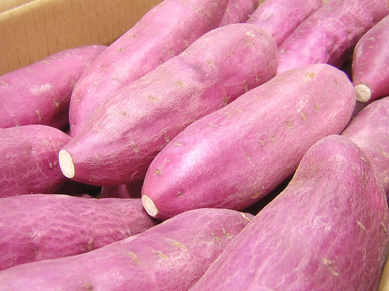 Sweet Potato – product thumbnail, market insight supplier card