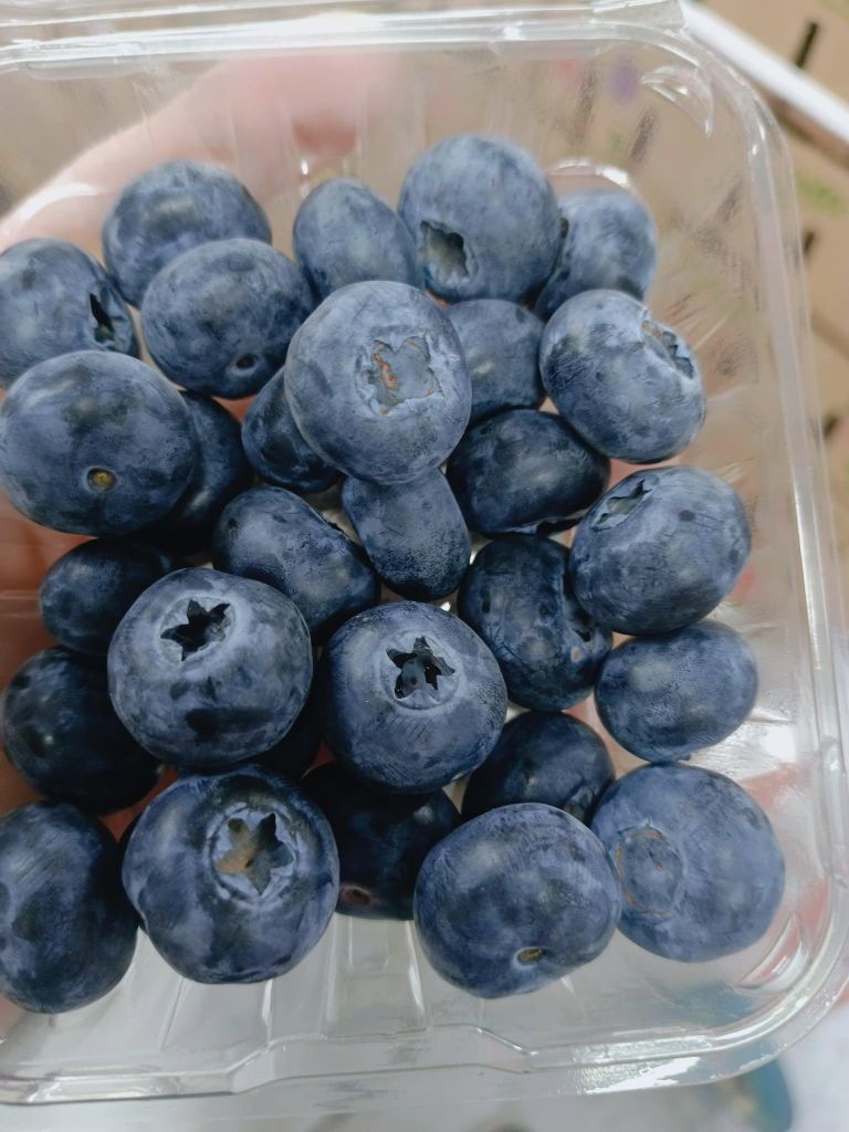 Blueberry Facility