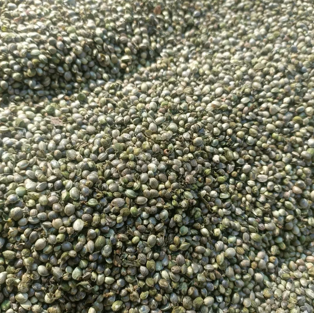 Best Organic Hemp Seeds – Premium Plant-Based Superfood – product thumbnail, market insight supplier card