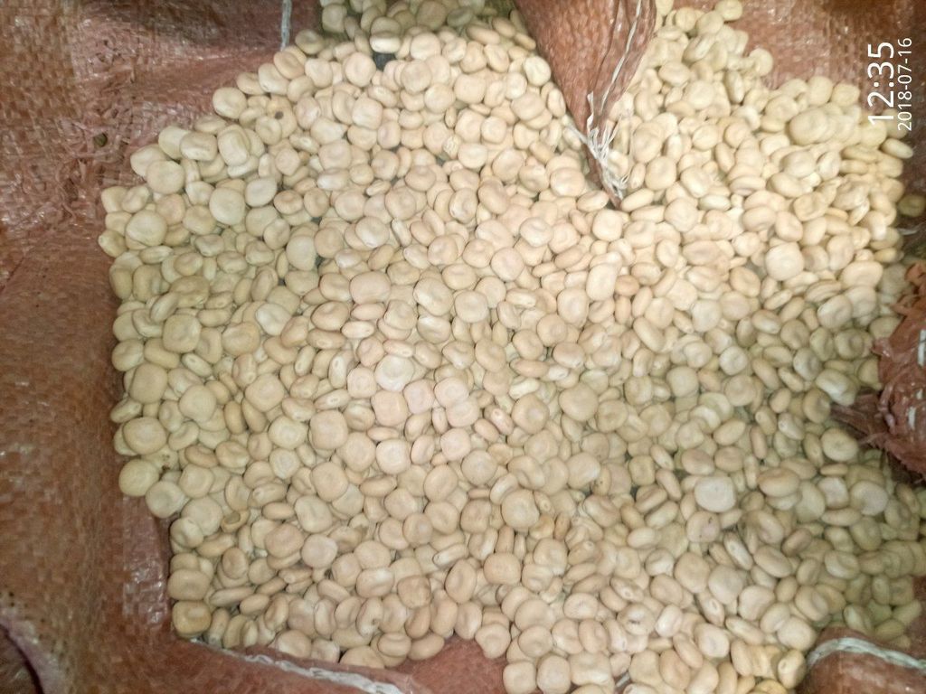 Top-shelf Brilliant White-cream Color Lupin AD Snow White Cream Dried Bitter Premium with 3 Years Shelf Life Bright White 0.5 %