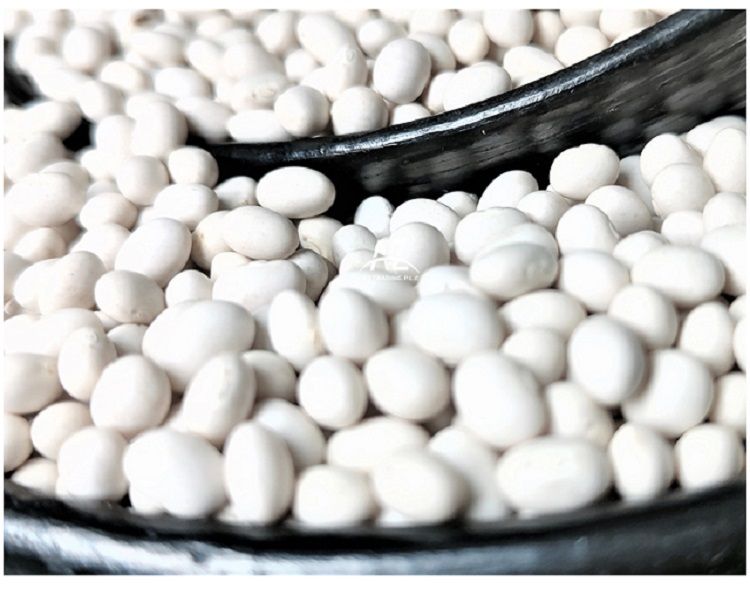 Ethiopian White Pea Beans Kidney Beans New Crop 2022 Fully Handpicked and machine cleaned purity 99% Bright white pea bean Ethi