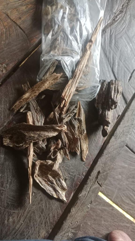 Agarwood