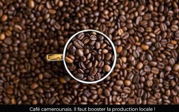Roasted coffee from Cameroon Superior quality: arabica et robustz – product thumbnail, market insight supplier card