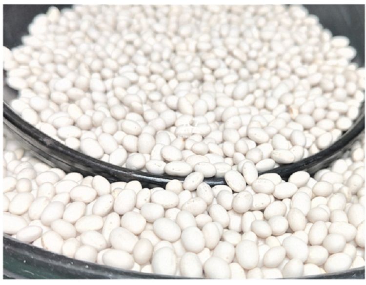 Ethiopian White Pea Beans Kidney Beans New Crop 2022 Fully Handpicked and machine cleaned purity 99% Bright white pea bean Ethi
