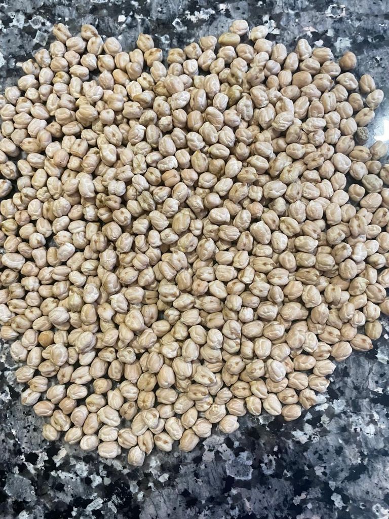 Export Quality Kabuli Chickpea
