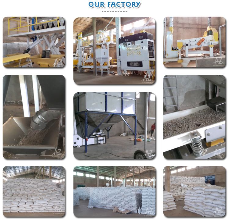 Ethiopian White Pea Beans Kidney Beans New Crop 2022 Fully Handpicked and machine cleaned purity 99% Bright white pea bean Ethi