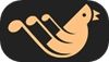 Xianyang Boya Music Instruments Co., Ltd.