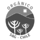 ANTINORI CHILE SPA – supplier logo, supplier contact card