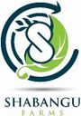 Shabangu Farms Limited