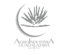 AGROINDUSTRIA GUADALAJARA SA DE CV – supplier logo, supplier contact card