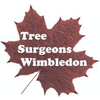 TREE SURGEONS WIMBLEDON – supplier logo, supplier contact card