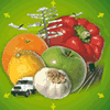 AMEFRUITS SL – supplier logo, supplier contact card