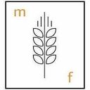 MOLINO FOCHESATO S.R.L. – supplier logo, supplier contact card