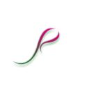 Guangdong Junrose Craft Co., Ltd.