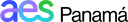 A.E.S. INC