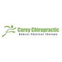 Carey Chiropractic Bobcat Physical Therapy