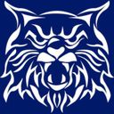About Us | Wild Cat Skill | Buy Skill Machine near me KY USA | Prominent Technologies