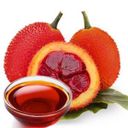 TROPICAL INVESTMENT COMPANY