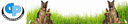 FUTTERMITTEL PALMOWSKI INHABER DIETMAR PALMOWSKI – supplier logo, supplier contact card