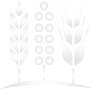BAY STATE MILLING – supplier logo, supplier contact card